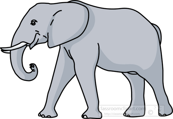 elephant_03_22812.jpg