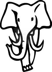 elephant_166.jpg