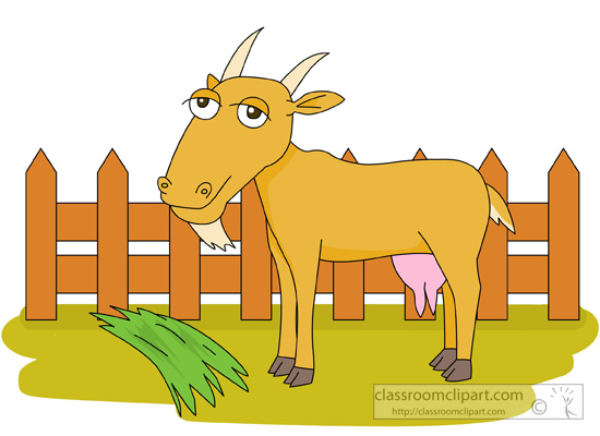 farm -animal-goat-962.jpg