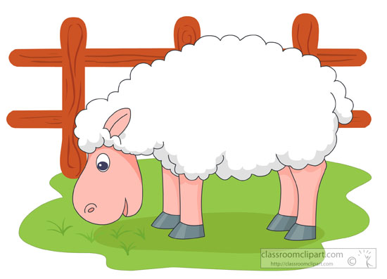 farm-animals-sheep-in-field.jpg