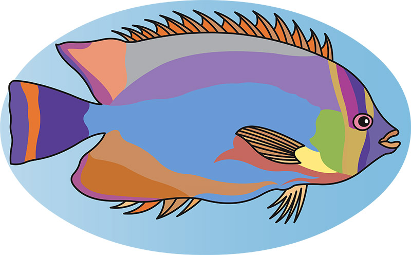 brightly-colored-fish-15.jpg