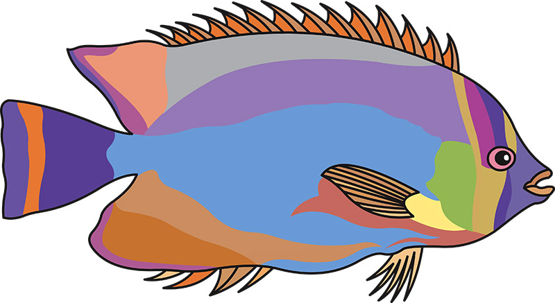 brightly-colored-fish-16.jpg