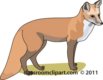 animal-fox-234.jpg