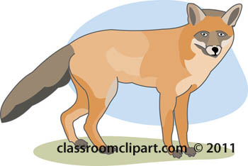 fox-animal-color-0608.jpg