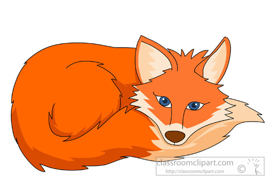 fox-curled-up-resting.jpg