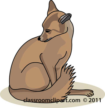 sitting-fox-animal-0509.jpg