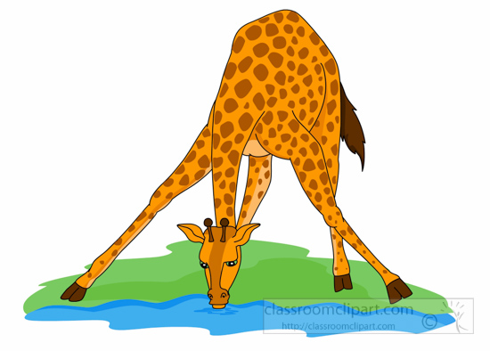 Giraffe Clipart Clipart - giraffe-drinking-from-watering-hole-clipart-6125  - Classroom Clipart