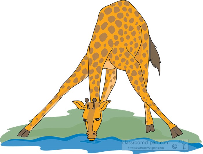 giraffe-drinking-from-watering-hole-vector-clipart.jpg
