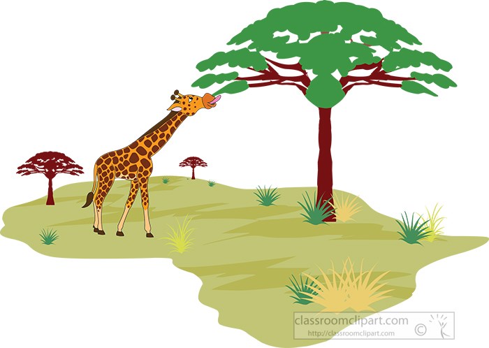 giraffe-eating-tree-leaves-in-african-land-africa-clipart.jpg