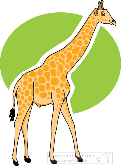 standing-giraffe-2A.jpg