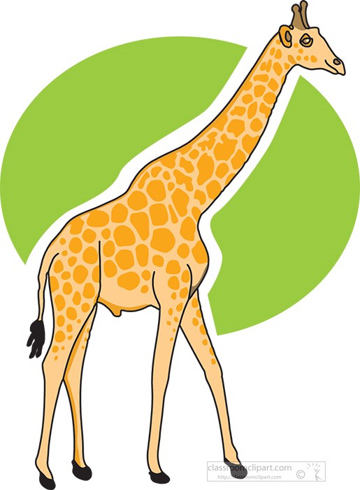 standing-giraffe-2a.jpg