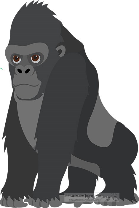 gorilla-leaning-of-two-front-legs-clipart.jpg