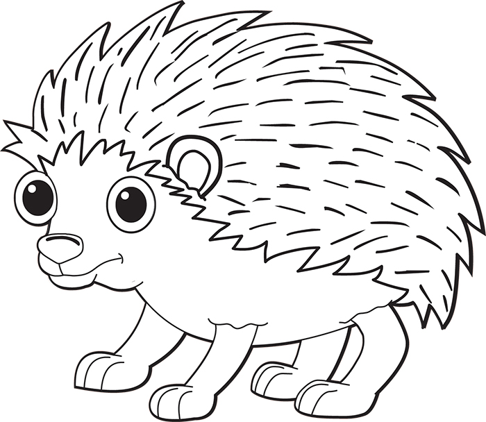 hedgehog-with-big-eyes-black-white-outline.jpg