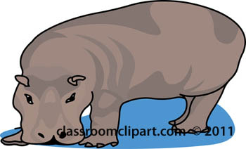 hippopotamus-0509.jpg
