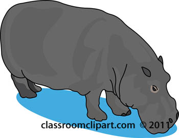 hippopotamus-51809.jpg