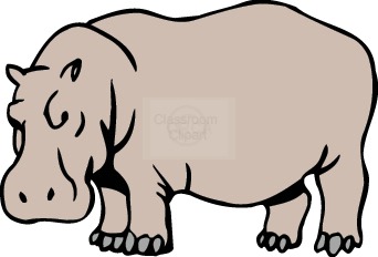 hippopotamus_33.jpg