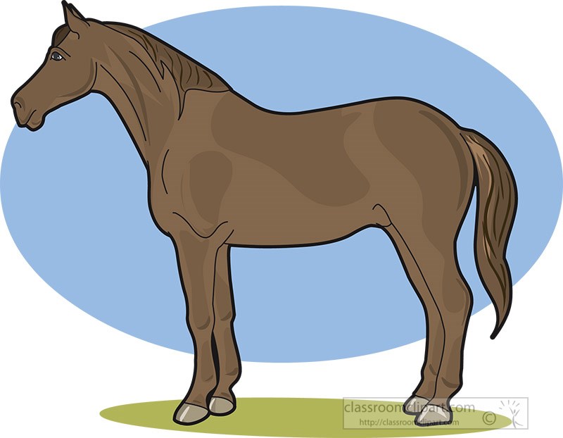 brown-horse-side-view-05.jpg
