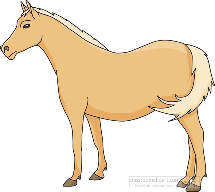 horse-with-tail.jpg