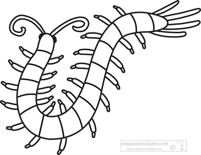 arthropod-millipede-black-outline-clipart.jpg