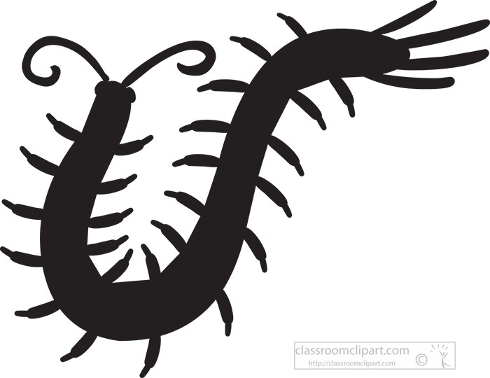 arthropod-millipede-silhouette-clipart.jpg