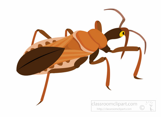 assassin-bug-insect-clipart.jpg