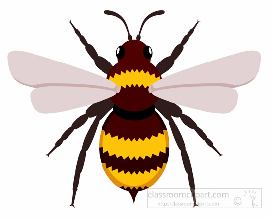 bumblebee-insect-clipart-illustration-6818.jpg