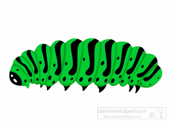 caterpillar-insect-clipart.jpg