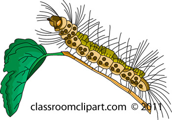 caterpillar_711_15A.jpg