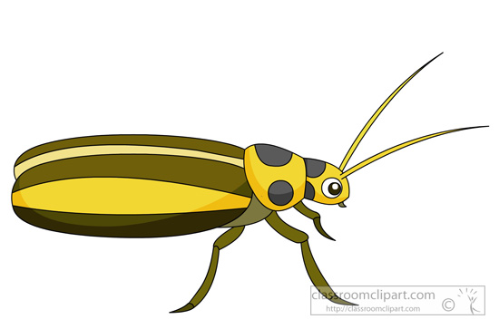 cucumber-beetle-insects-941.jpg