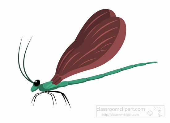 ebony-jewelwing-insect-clipart.jpg