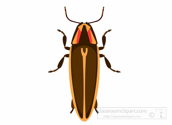 firefly-insect-clipart.jpg