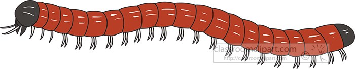 many-segmented-invertebrate-millipedes-clipart.jpg