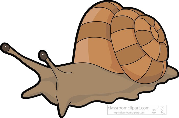 mollusks-giant-land-snail-clipart.jpg