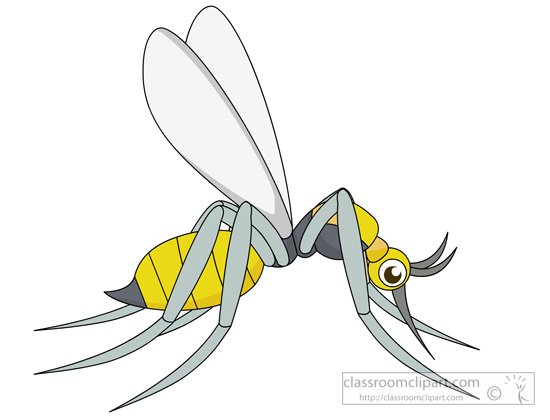 mosquito-insects-999.jpg