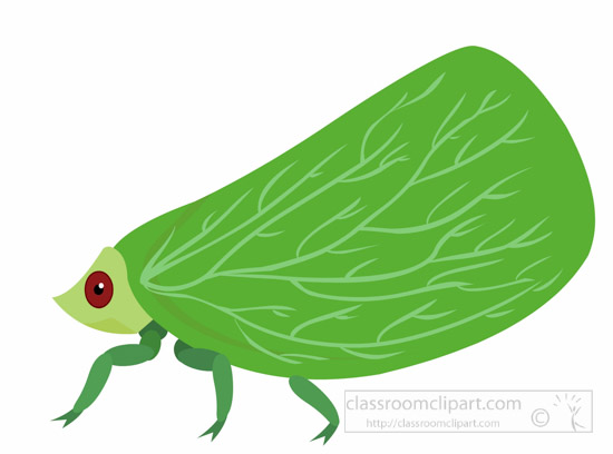plant-hopper-insect-clipart.jpg
