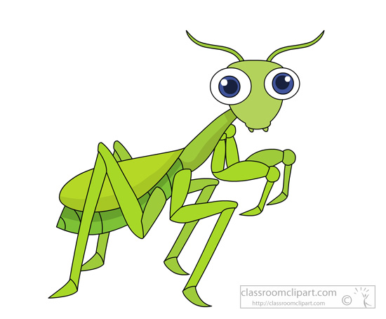 Insect Clipart Clipart - praying-mantis-insects-007 - Classroom Clipart