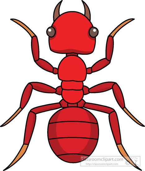 red-ant-insects-920.jpg