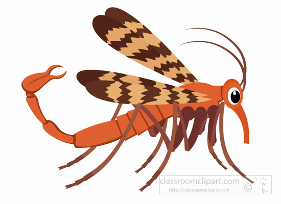 scorpion-fly-insect-clipart.jpg