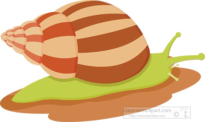 snail-mollusk-invertebrae-clipart.jpg
