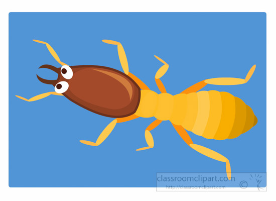 termite-insect-clipart.jpg