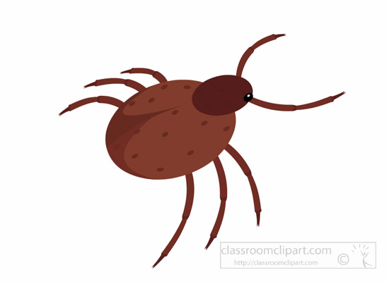 tick-insect-clipart.jpg