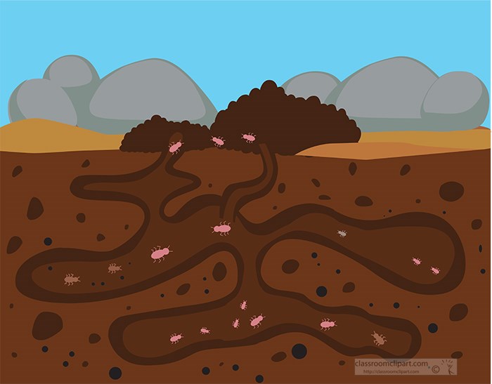underground-ant-colony-nest-clip-art.jpg