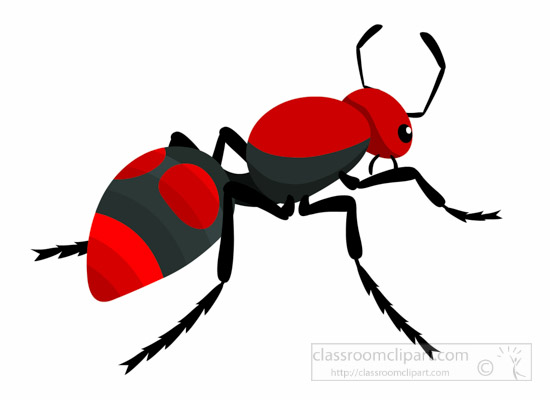 velvet-ant-insect-clipart.jpg