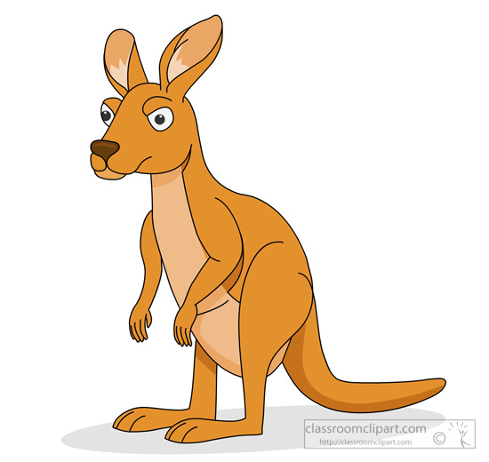 kangaroo-with-big-ears.jpg