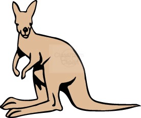 kangaroo_12.jpg