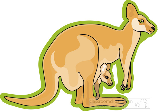 kangaroo_baby_in_pouch_green_2b.jpg