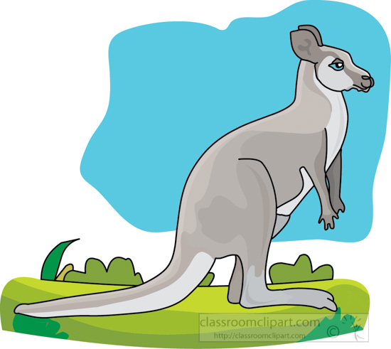 kangaroo_on_grass_3A.jpg