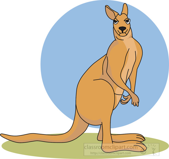 kangaroo_standing_212_2.jpg