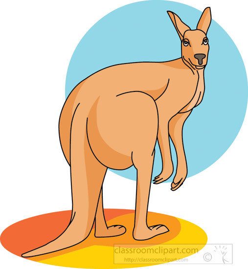kangaroo_standing_side_view_212_1.jpg