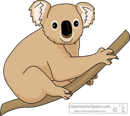 koalas_on_tree.jpg